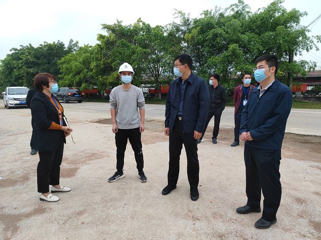 秦義敏（右二）在項目視察指導工作。梁凱 攝(修圖）.jpg