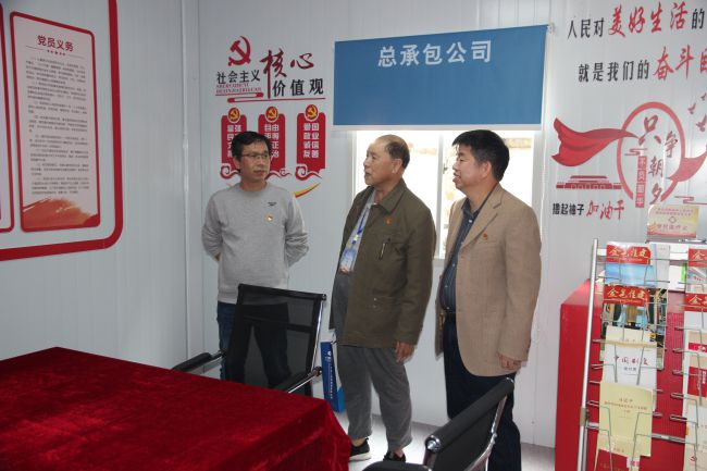 指導項目黨支部工作。梁紅玉 攝（修圖）.jpg